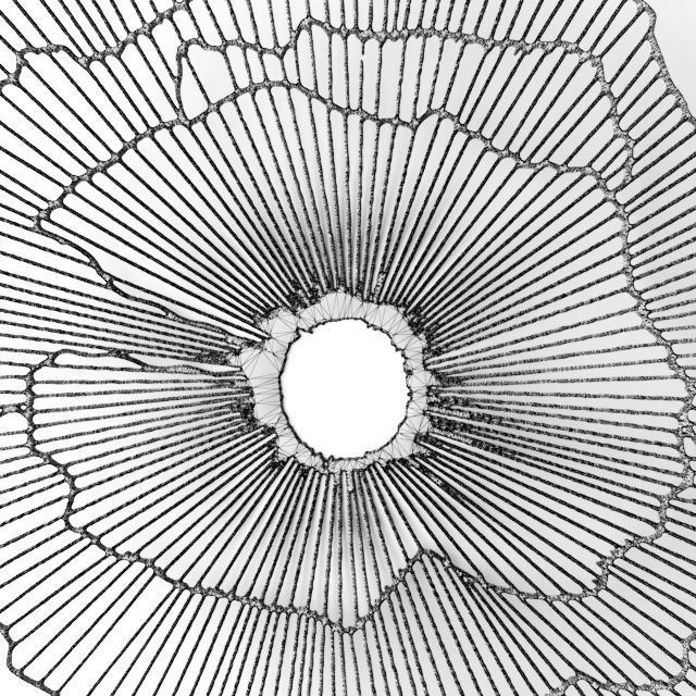 640x640 Wall Decor Futuristic Coral Panel 3d Cgtrader