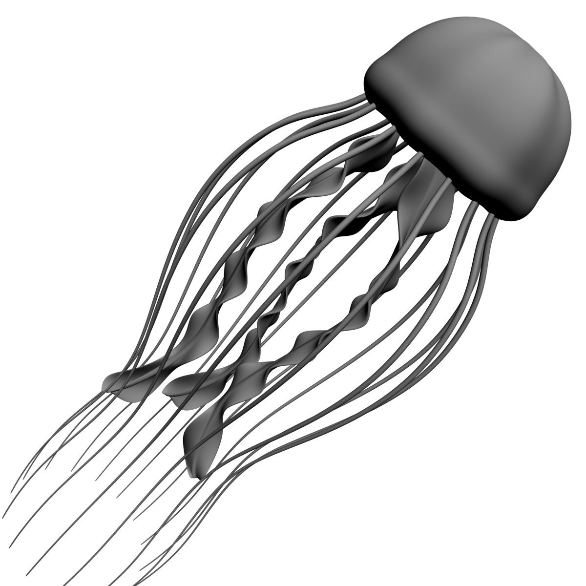 1200x1200 Jellyfish Rigged 3d Model Cgtrader