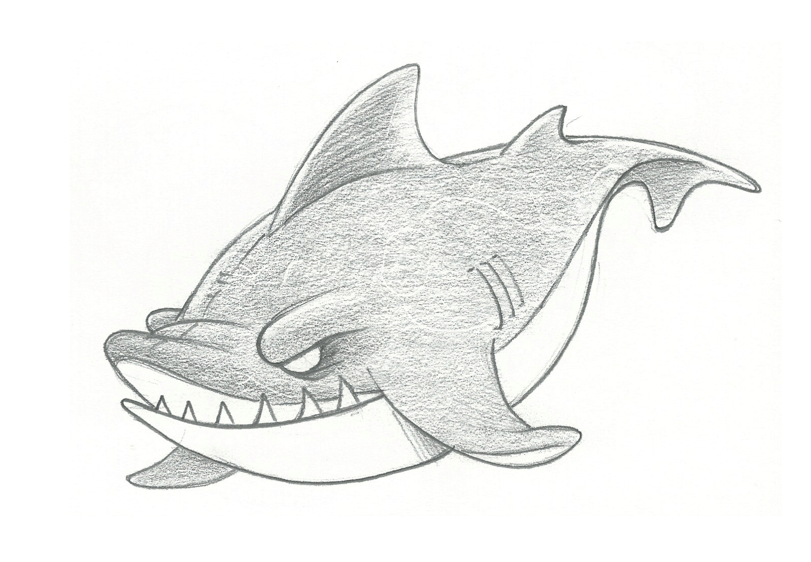 1600x1109 Shark Pencil Sketch 3d Fish Pencil Sketch Pic How To Draw A Shark