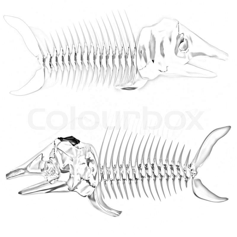 800x800 3d Metall Illustration Of Fish Skeleton On A White Background