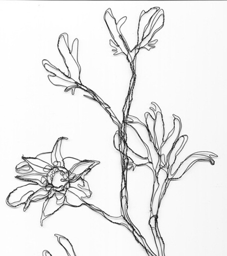 444x500 Wire Botanicals Wire Sculpture And Illustration