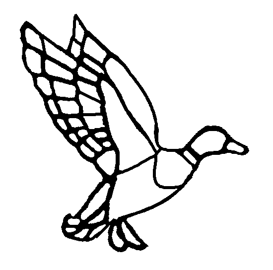 550x544 Free Bird Patterns For Stained Glass