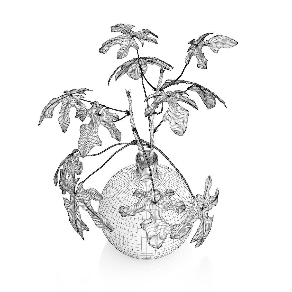 1200x1200 3d Fig Plant In Glass Vase Cgtrader