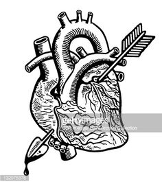 236x268 Pin By All Of Us Are Normal On Red (Rc)