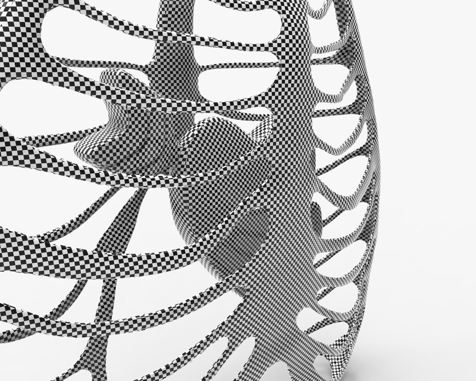 1600x1281 3d Model Necklace Rib Cage Heart Cgtrader