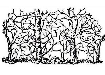 400x286 Optical Illusions