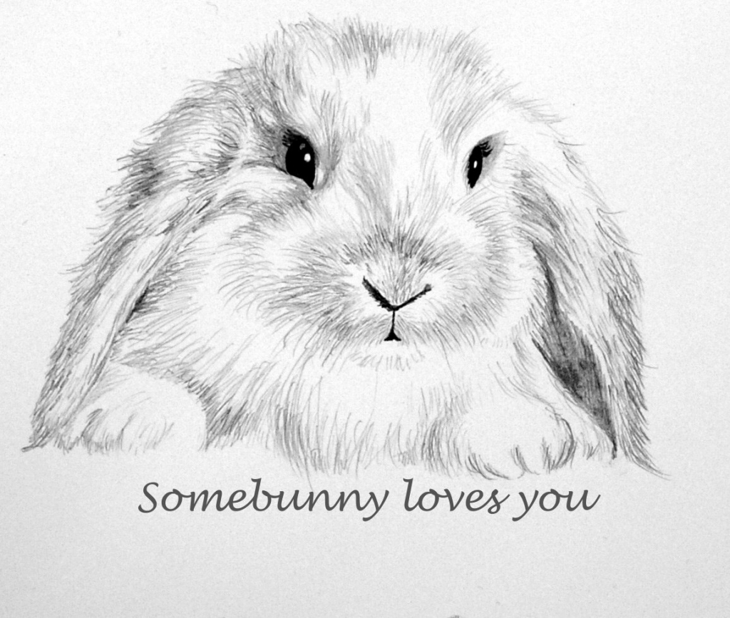 1024x867 Pencil Sketch Of A Rabbit Gallery Rabbit 3d Pencil Drawing