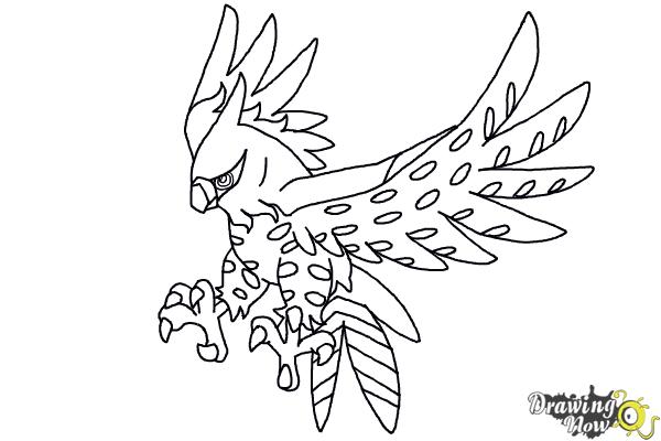 600x400 How To Draw Talonflame From Pokemon X And Y