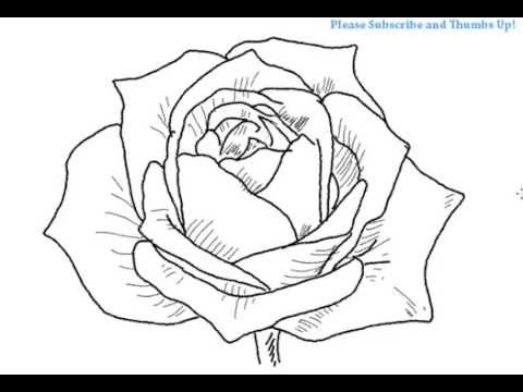 480x360 How To Draw An Open Rose Flower Yzarts Yzarts