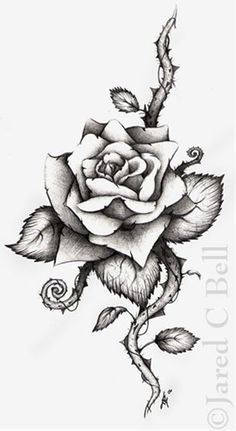 236x431 Rose Tattoo All About The Ink! Rose Tattoos