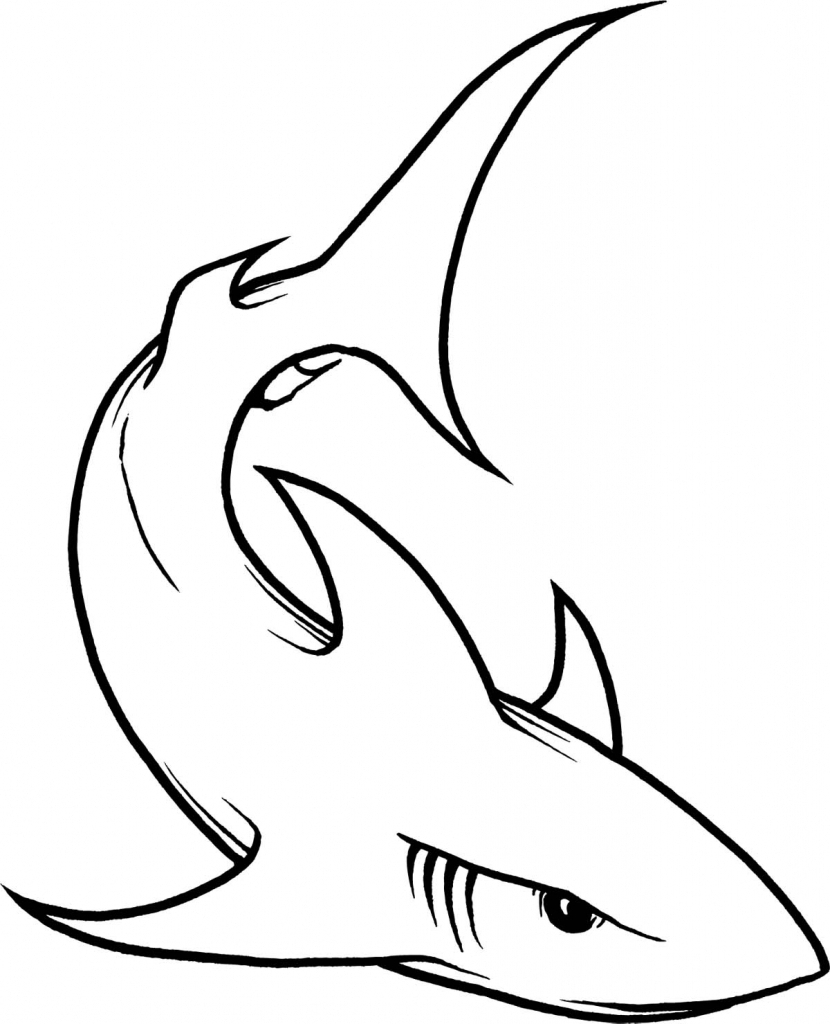 830x1024 Drawing Of A Shark Simple Shark Drawing