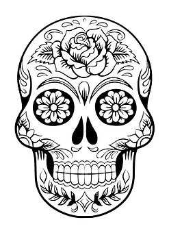 247x340 Skull