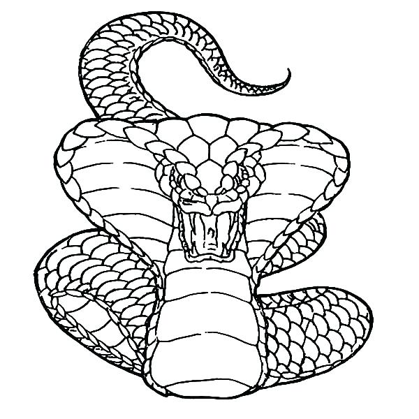 600x600 Drawn Snake Pencil 3442438
