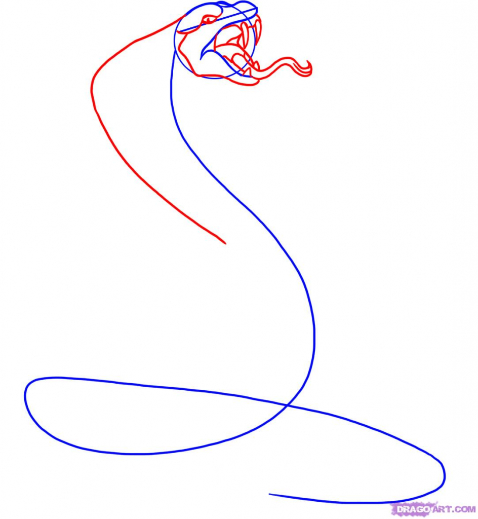 944x1024 How Draw A Snake How To Draw A Snake King Cobra Step Step Snakes