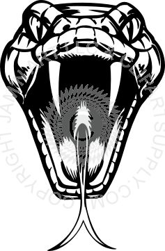 237x361 Photos Snake Head Drawings,