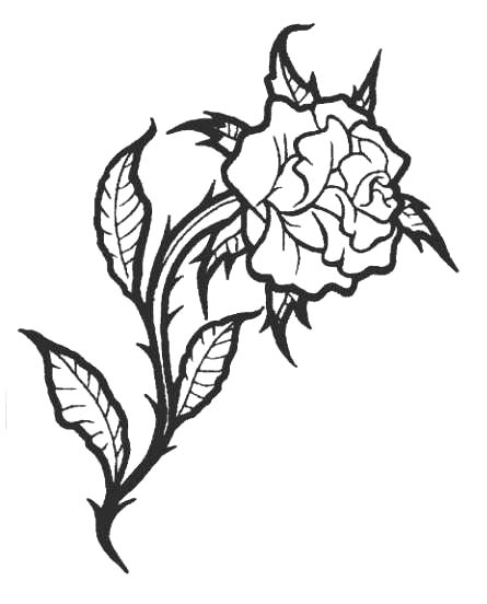 445x552 Sketch Tattoos Rose, Flowers Tattoos Part 1 3d Tattoos Images