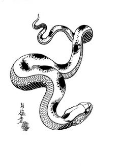 236x325 Snake Tattoo Ideas Paintingsss Snake Tattoo, Snake