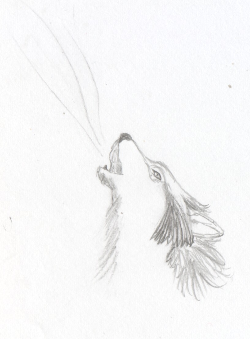 816x1106 Instructables Search Results