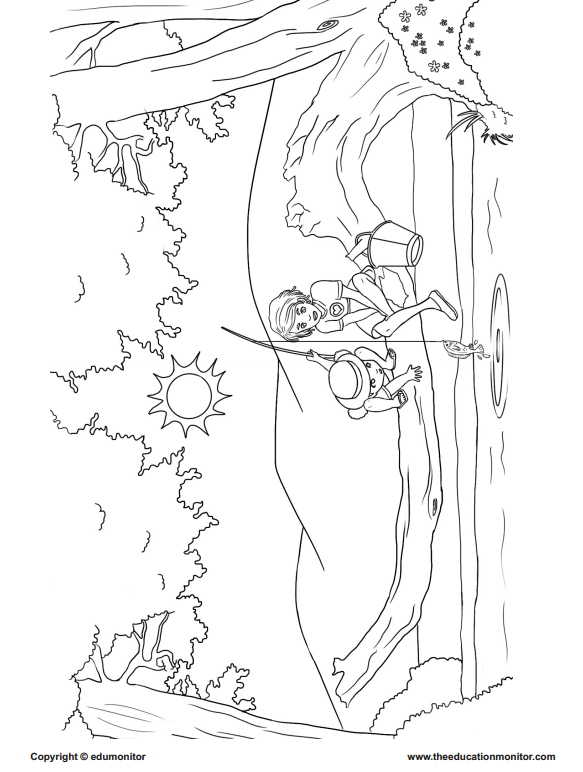 583x772 3rd Grade Edumonitor