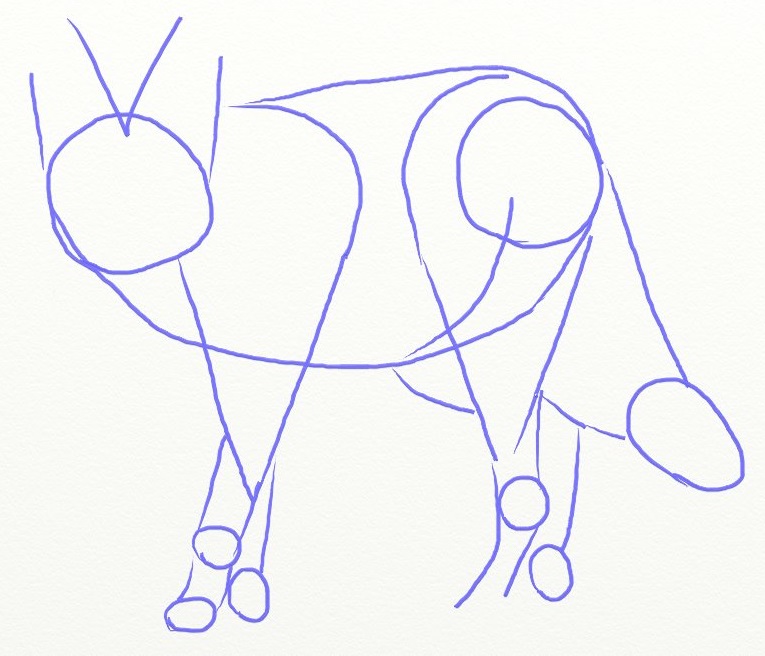 765x656 How To Draw Coyote, Prairie Wolf