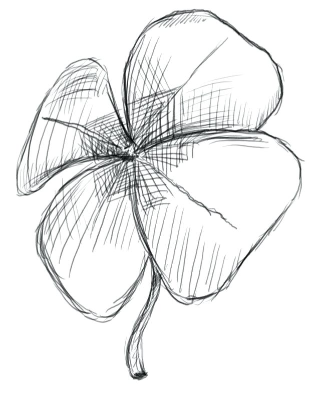629x800 4 Leaf Clover Coloring Page Gallery For Cool Four Leaf Clover