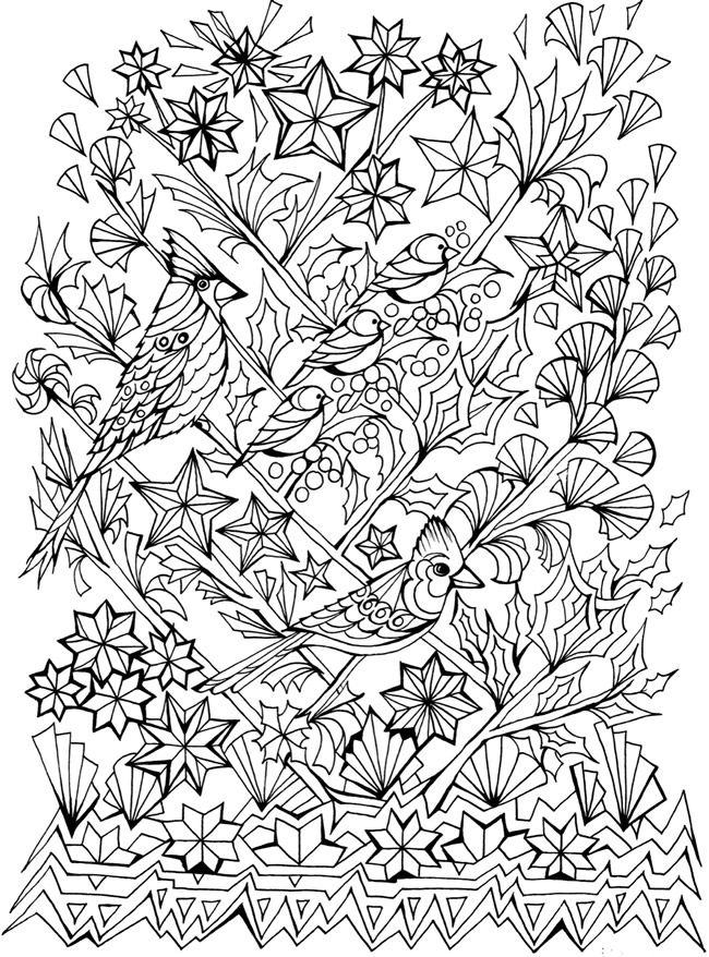 650x878 Creative Haven Deluxe Edition Four Seasons Coloring Book