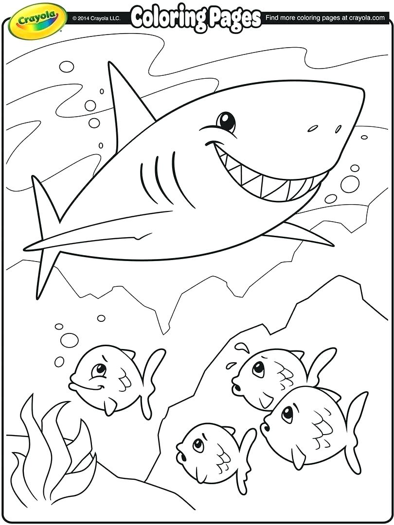 810x1080 Coloring 49ers Coloring Pages