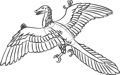 400x251 How To Draw Archaeopteryx In 7 Steps Howstuffworks