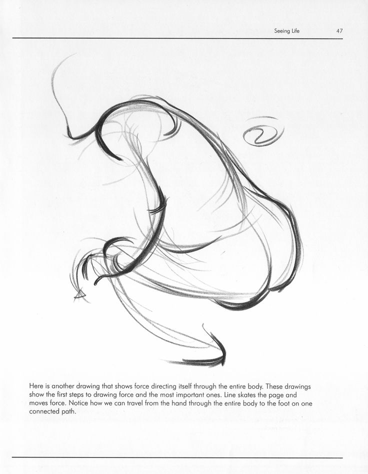 736x948 93 Best Anatomy, Forces And Planes Images On Anatomy