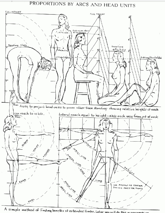 534x689 Andrew Loomis