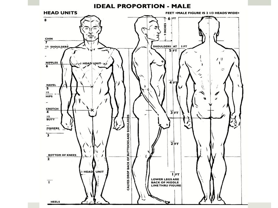 960x720 Gesture Drawing Grade 10 Visual Art. Gesture Day I The Basics