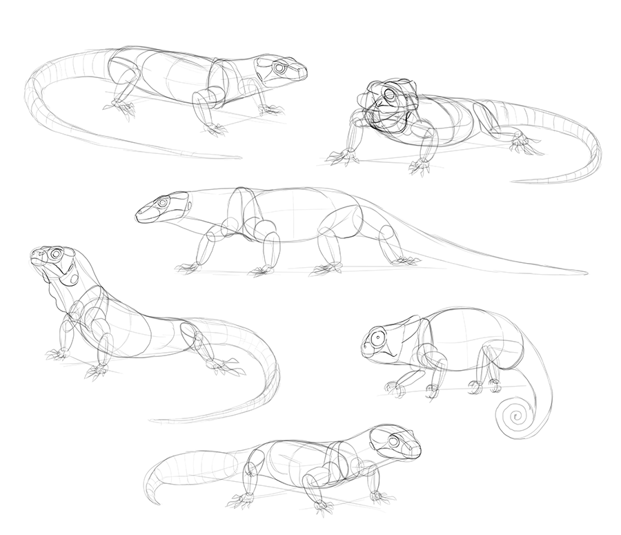 900x775 How To Draw Lizards (Aka Real Life Dragons)