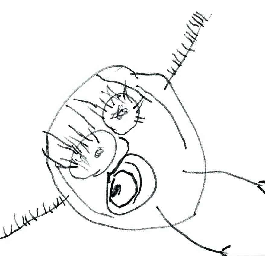 878x849 Awesome Coloring Pages For 8 Year Olds Crayola Photo Run Cl