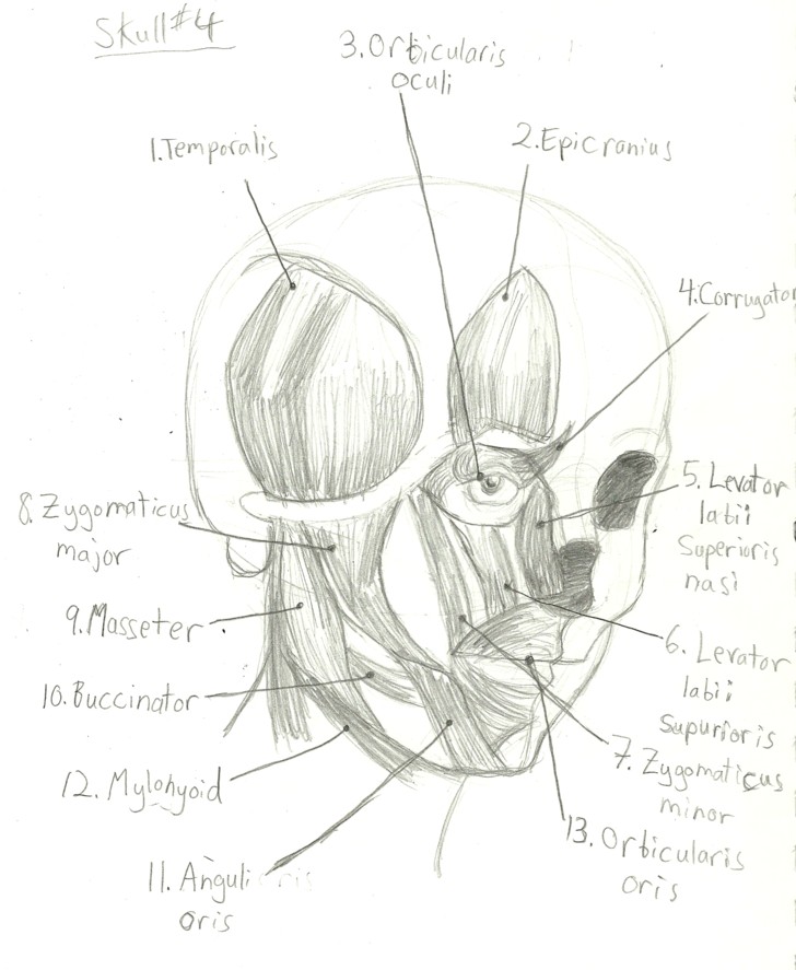 728x887 2011 Summer Drawing Fall Drawing Day