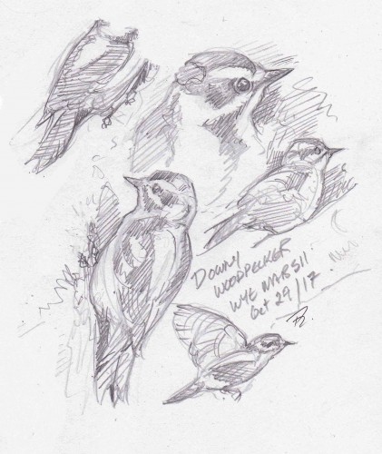 421x500 Sketch Club Ontario's Lake Country In Orillia Oro Medonte