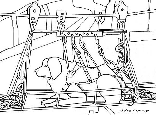 648x478 Working Dogs Crucial Canines