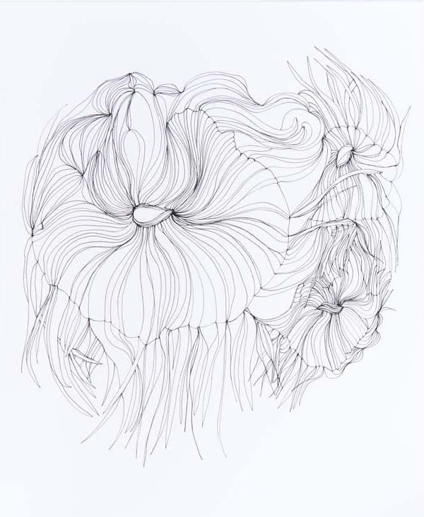 600x732 Drawings Amp Collage Suzanna Fields