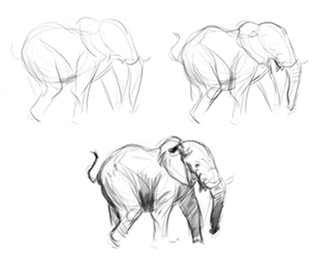 460x379 From Mistale The Cat To Elephant (And Baby Aardvark) The Story