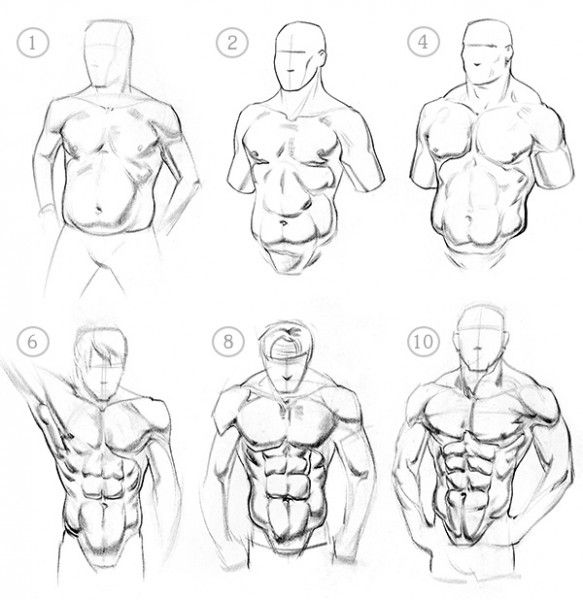 583x600 46 Best Multi Body Ref Images On Art Lessons, Creature