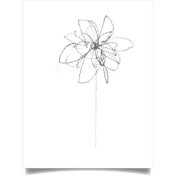 570x570 Abstract Flower Abstract Botanical Art Print Minimalist