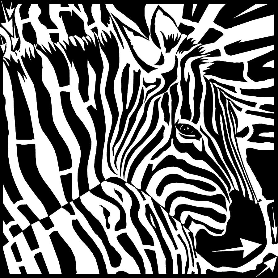 900x900 Abstract Distortion Zebra Stripes Maze Drawing By Yonatan Frimer