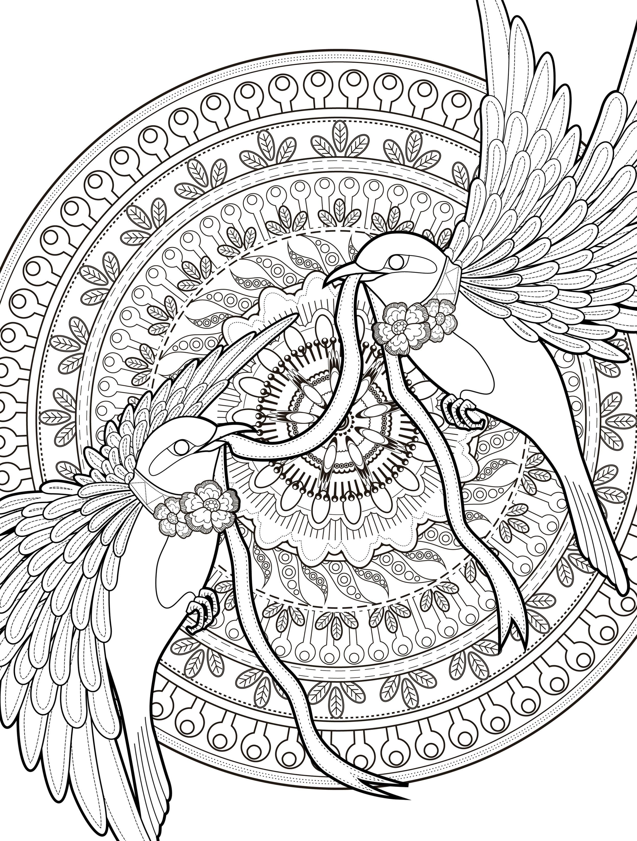 2500x3300 Abstract Bird Coloring Pages Coloring Sheets
