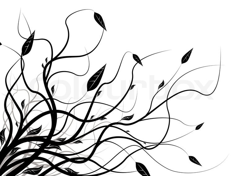 800x569 Floral Abstract Black And White Background With Copy Space Stock