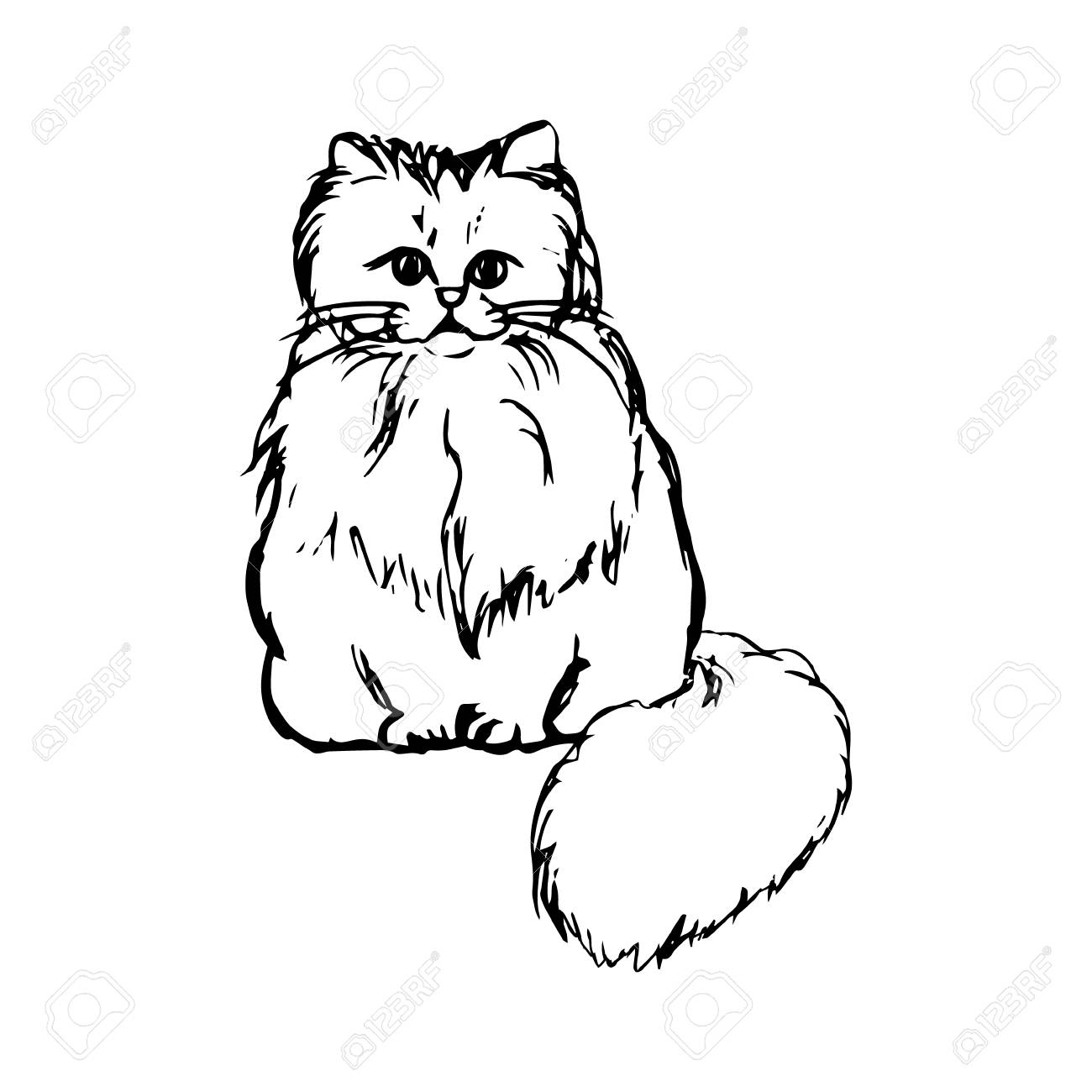 1300x1300 Abstract Drawing Of A Fluffy Cat, Graphic Vector Illustration