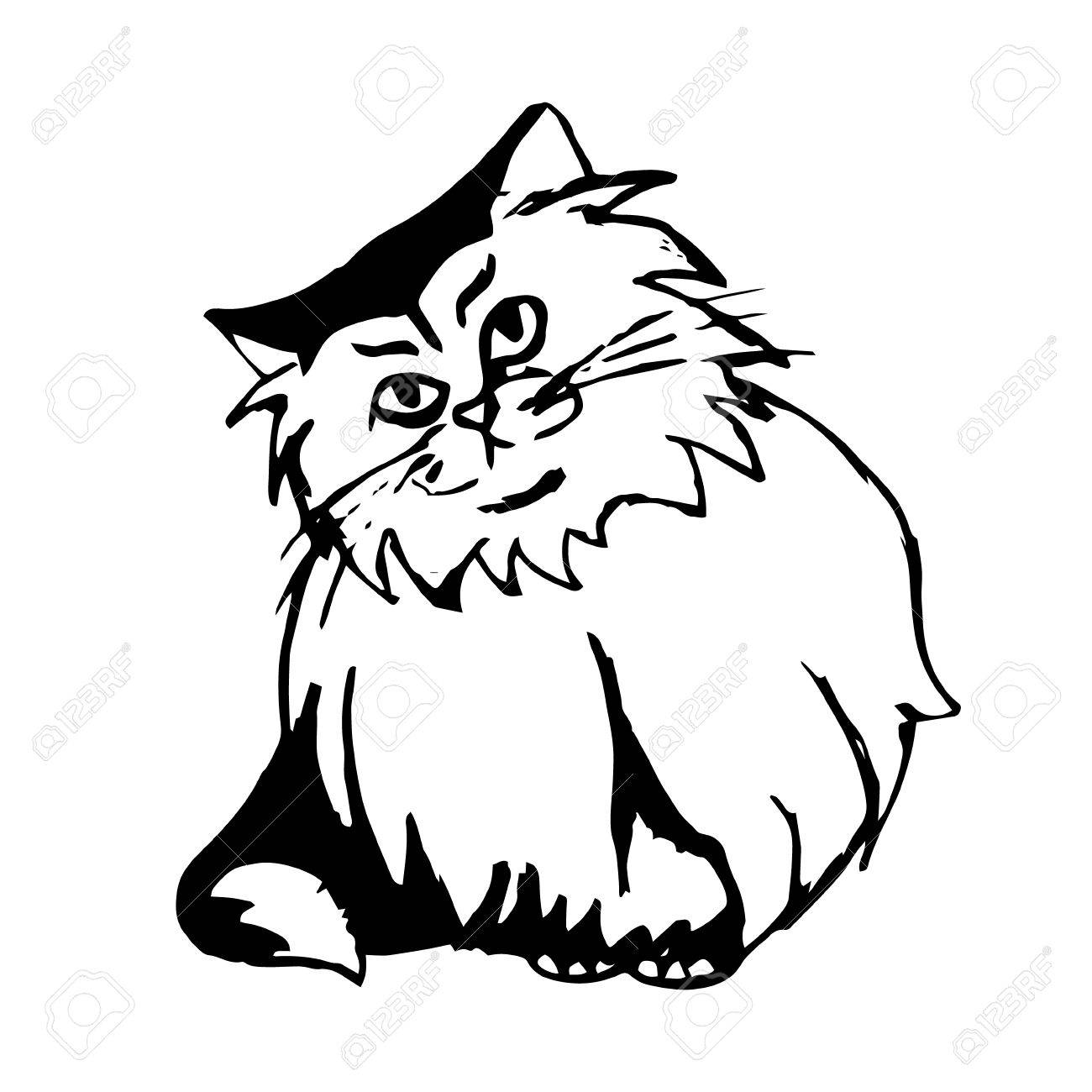 1300x1300 Graphic Image Of A Cat With Shaggy Fur. Abstract Cat Print