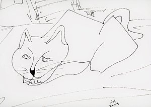 300x213 Abstract Cat Drawings