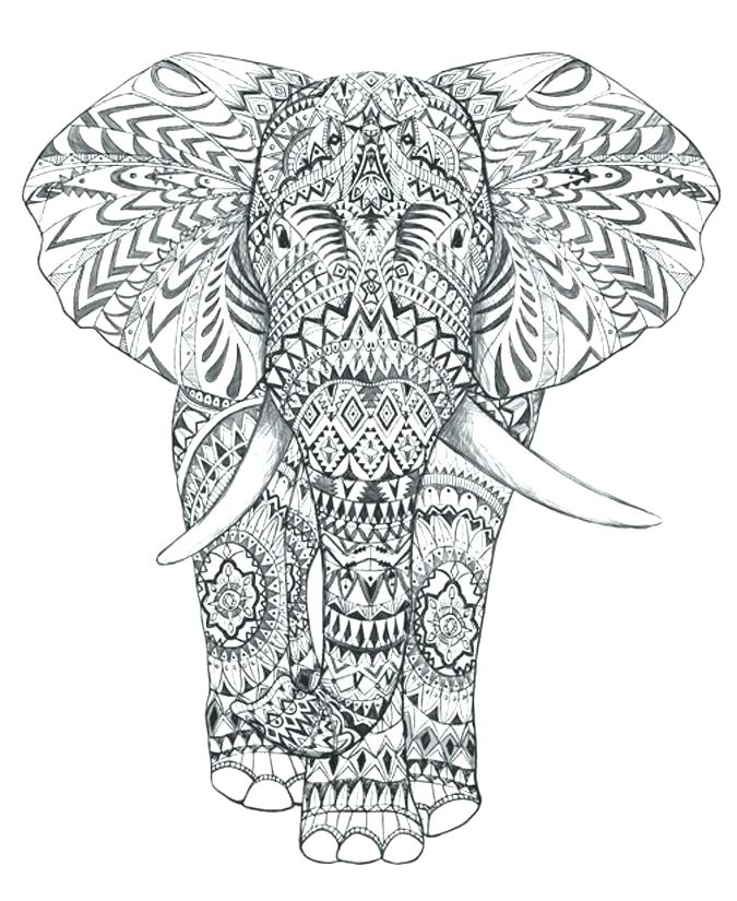 Abstract Elephant Drawing at GetDrawings | Free download