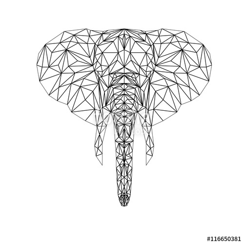 500x500 Vector Elephant Illustration For Tattoo, Coloring, Wallpaper