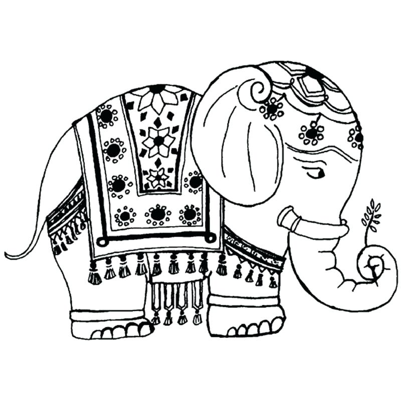 800x800 Coloring Pages Elephant Elephant Drawing Panda Free Images Animals