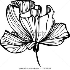 236x236 Flower Drawings Abstract